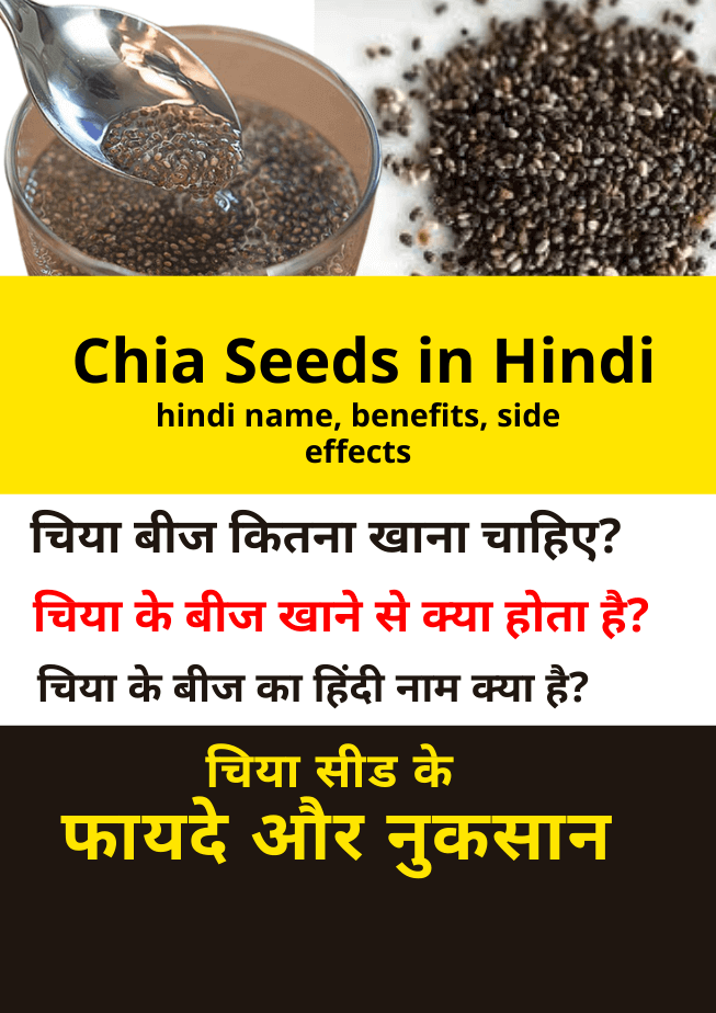 chia seeds meaning in hindi
