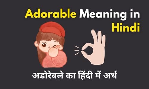 Adorable Meaning in Hindi