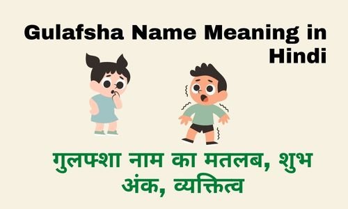 Gulafsha Name Meaning in Hindi