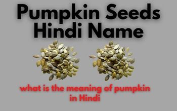 Pumpkin Seeds Hindi Name