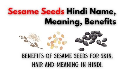 Sesame Seeds Hindi Name Meaning Benefits