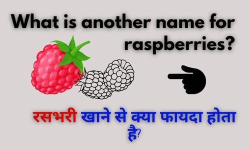 What is another name for raspberries?