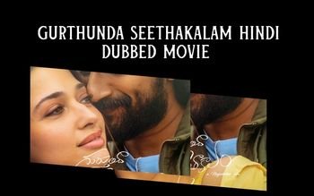gurthunda seethakalam hindi dubbed movie