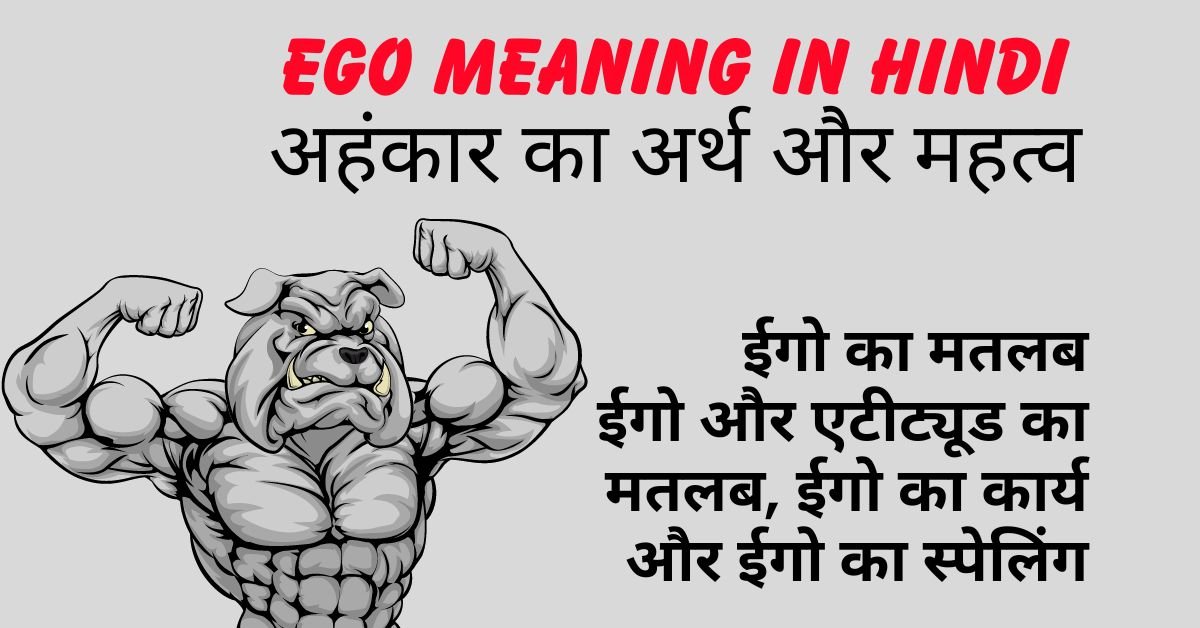 ego meaning in hindi